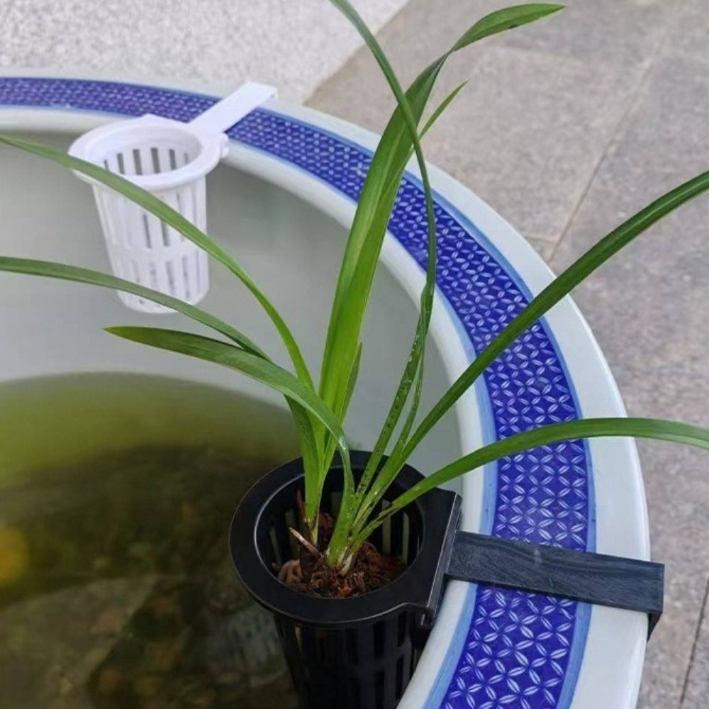 Aquarium Planted Wall - Wall-Mounted Aquarium Plant Basket Plastic Planter