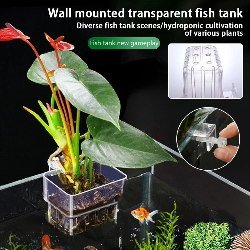 Aquarium Planted Wall - Aquarium Hanging Planter Cups Wall Mounted