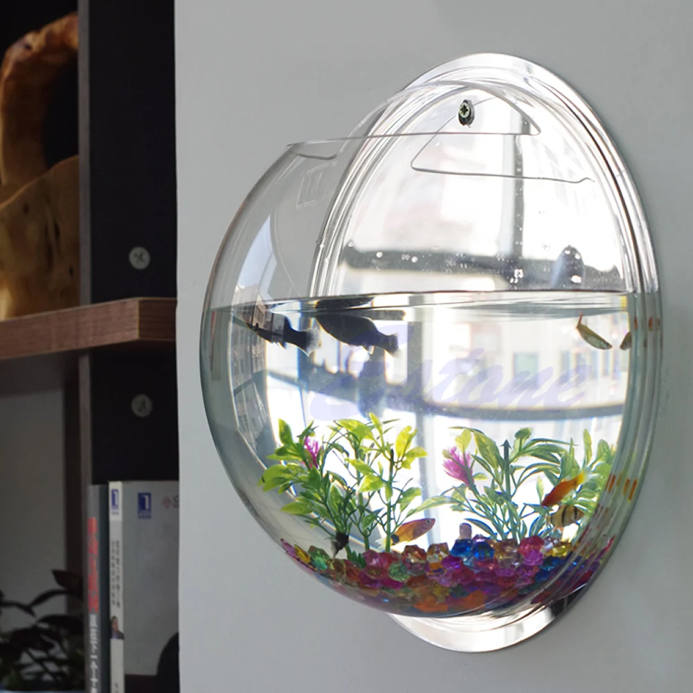 Wall Mounted Acrylic Fish Bowl - Aquarium Planted Wall review and price