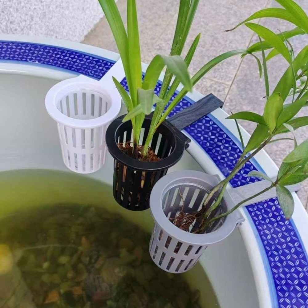 Wall-Mounted Aquarium Plant Ba - Aquarium Planted Wall review and price