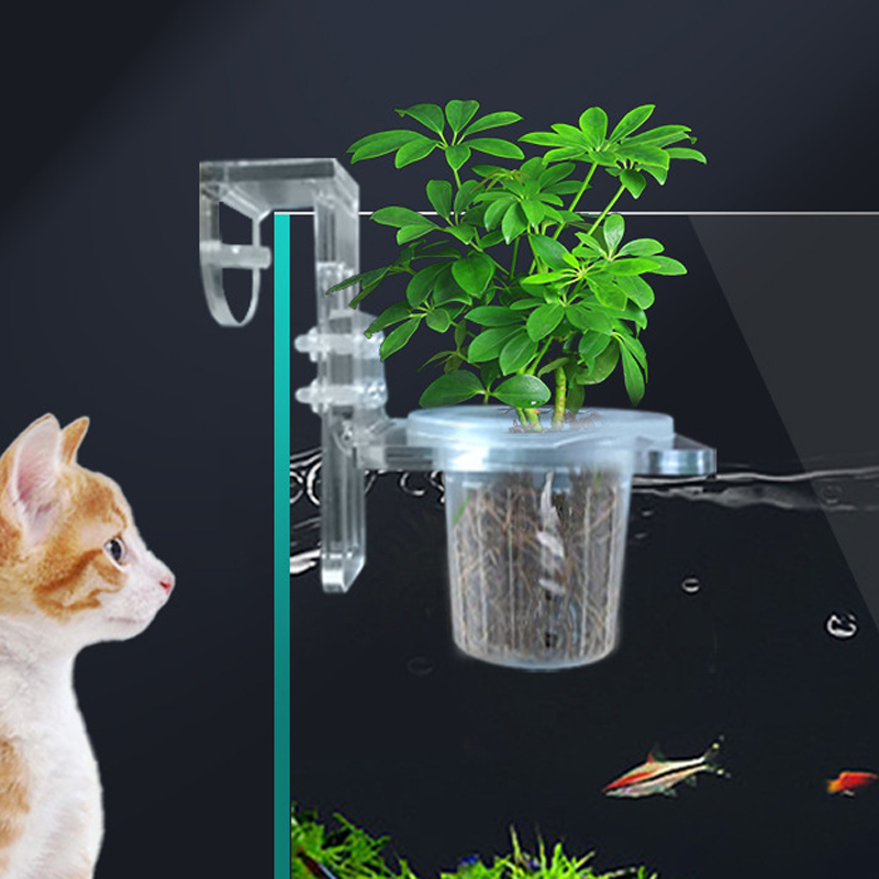 Fish Tank Planting Cups Hydrop - Aquarium Planted Wall review and price