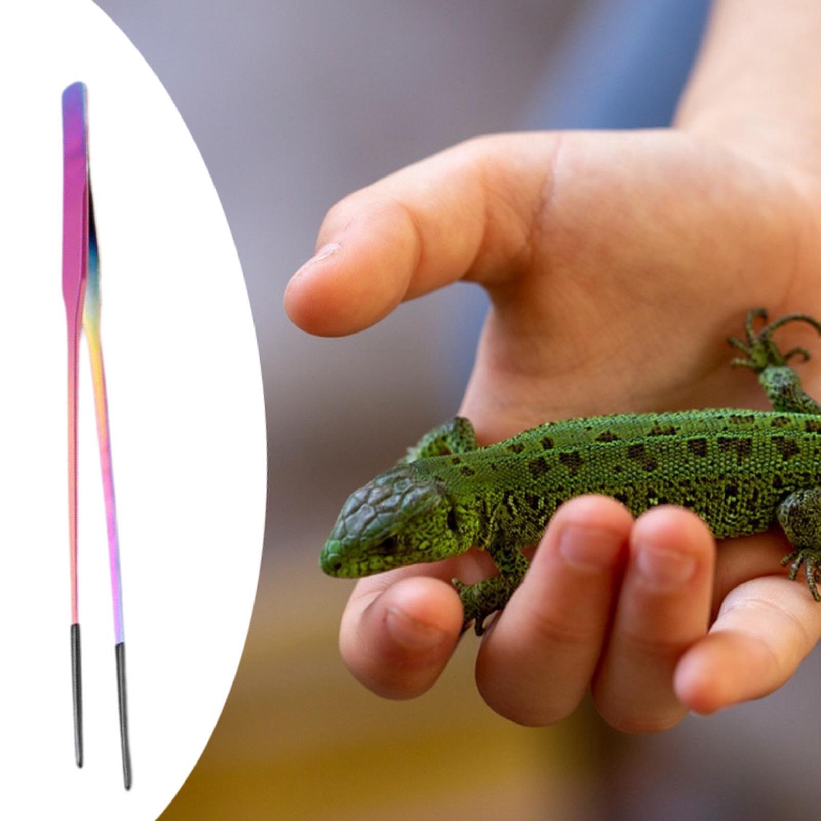 Reptile Feeding Tongs Soft Tip - Planted Aquarium Tips review and price
