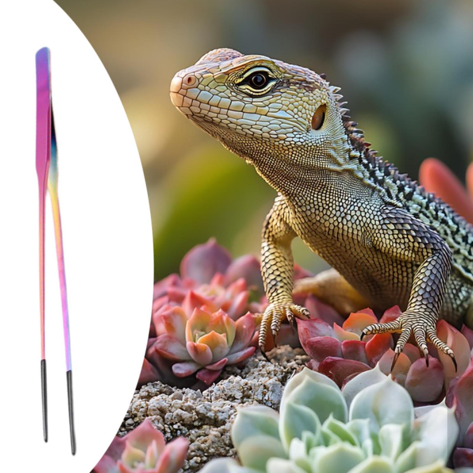 Reptile Feeding Tongs Soft Tip - Planted Aquarium Tips review and price