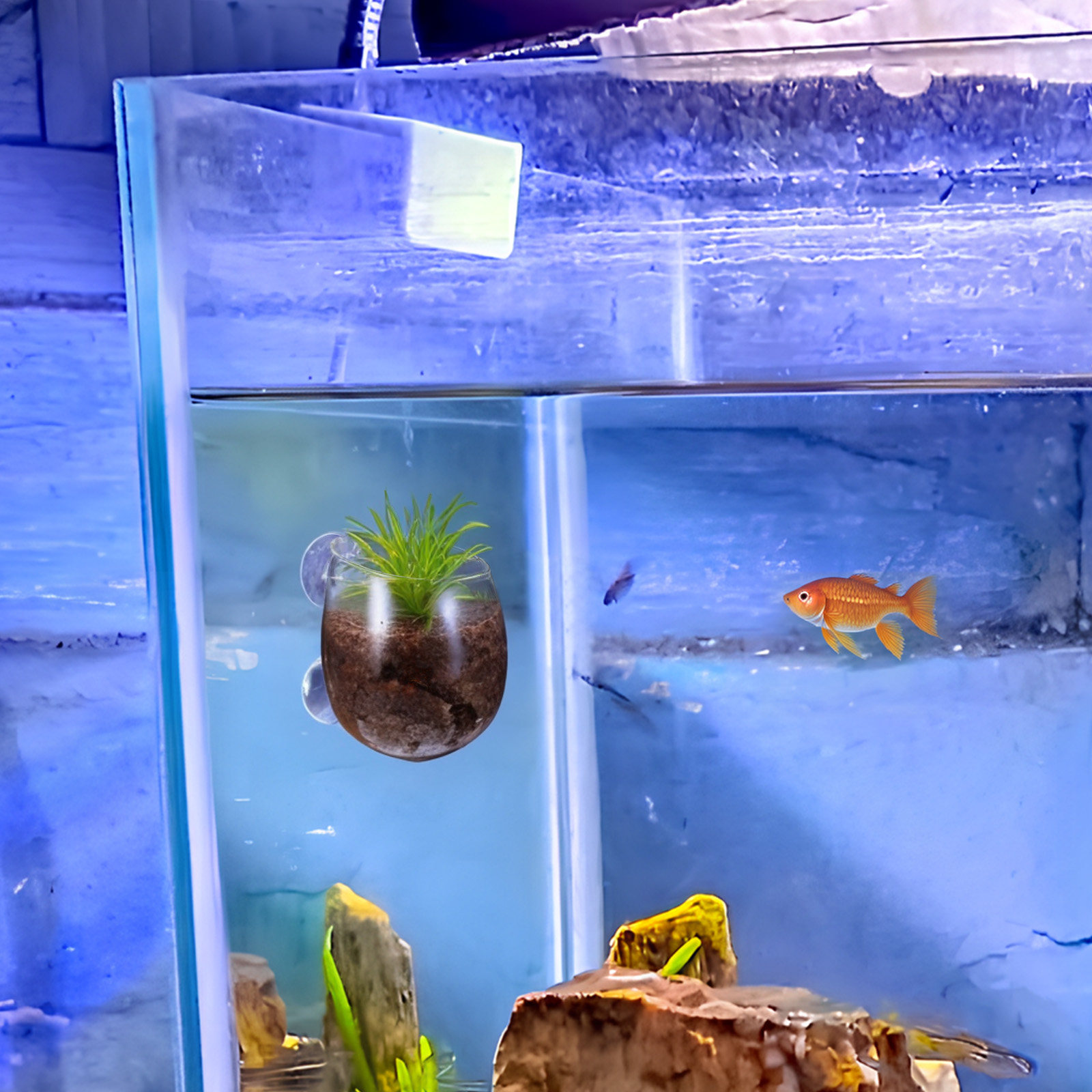 2Pcs Aquarium Planter Cups Cle - Aquarium Planted Wall review and price