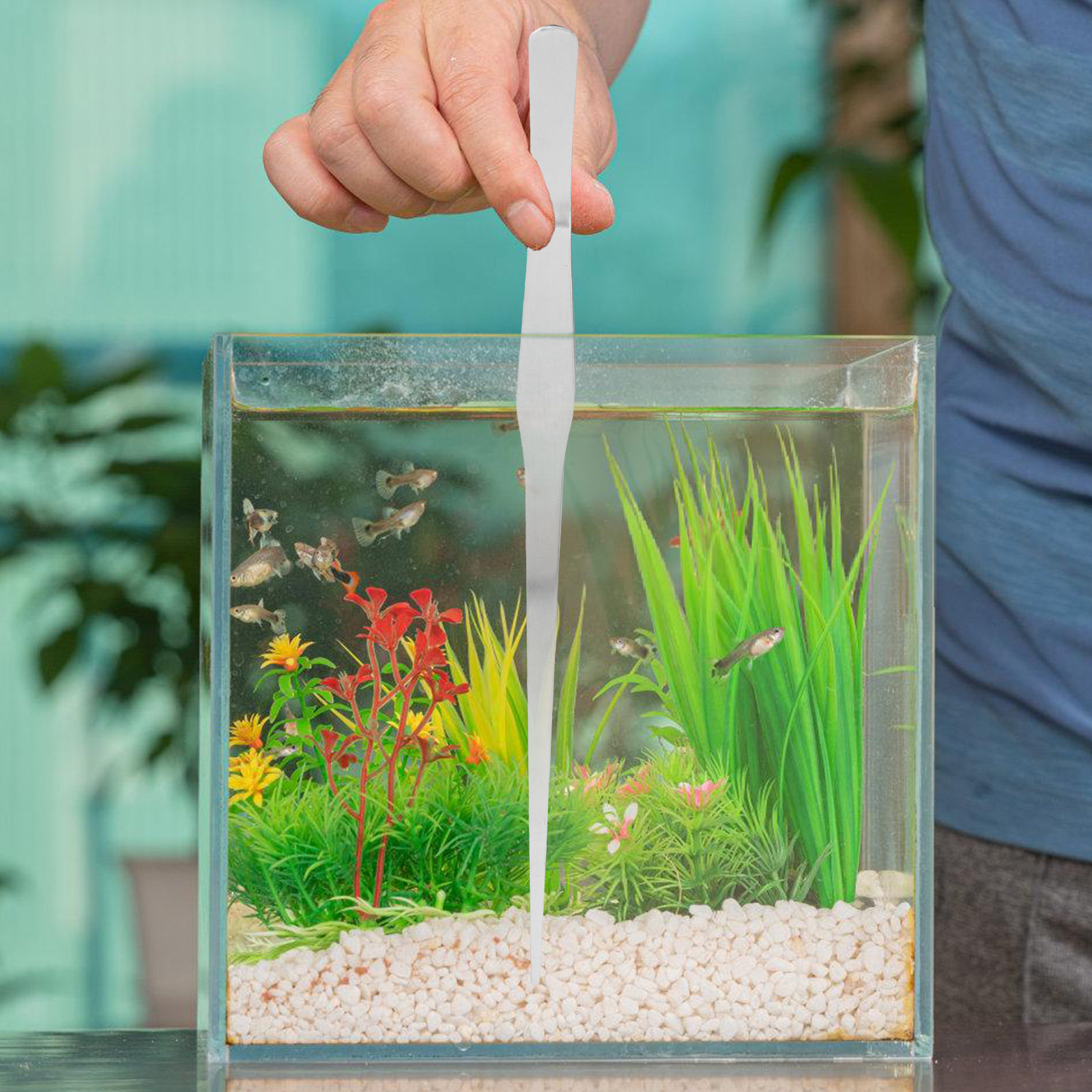 Water Plant Tweezer Stainless  - Planted Aquarium With Gravel review and price