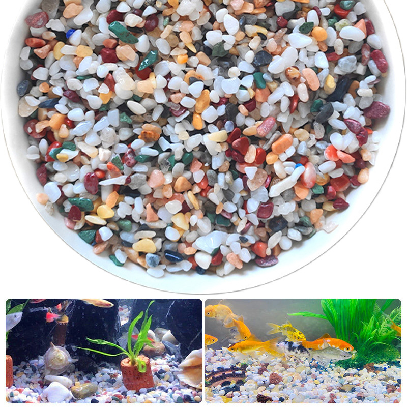 Natural Gravel Stone 200~1000g - Planted Aquarium With Gravel review and price