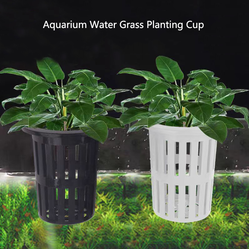 1/3Pcs Aquarium Plant Basket W - Aquarium Planted Wall review and price