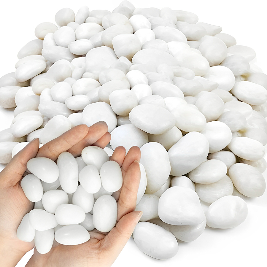 1/2Lb White Polished Aquarium  - Planted Aquarium With Gravel review and price