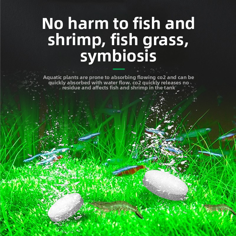 FKSC CO2 Booster Tablets for A - Aquarium Plant Yellowing review and price