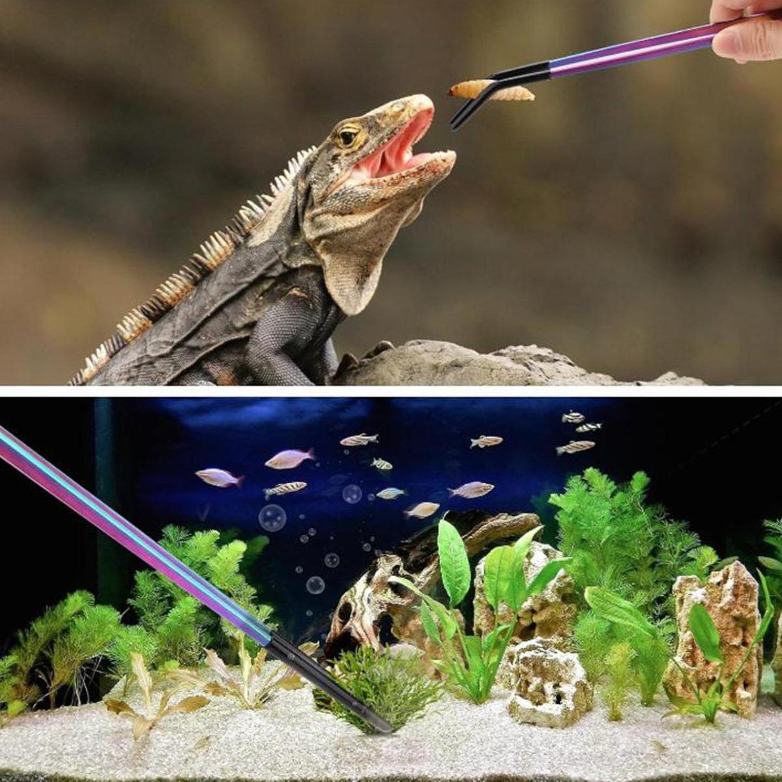 Reptile Feeder Tongs with Sili - Planted Aquarium Tips review and price