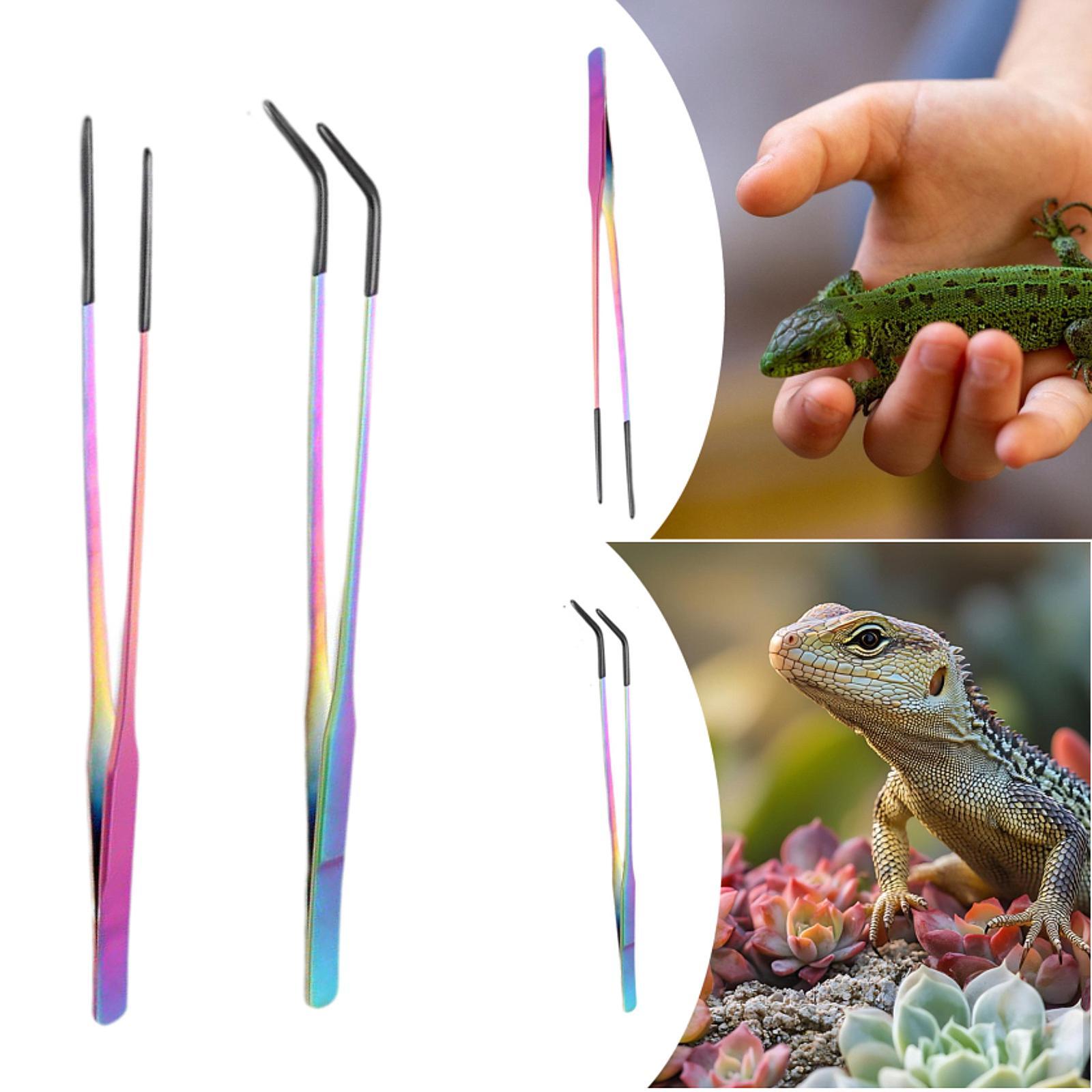 Reptile Feeder Tongs with Sili - Planted Aquarium Tips review and price