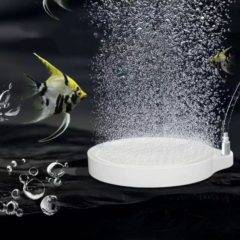 Nano Disc Air Stone Oxygen Aer - Aquarium Lily Pipe review and price